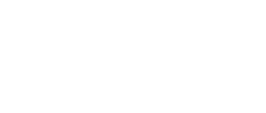 18th ECIM